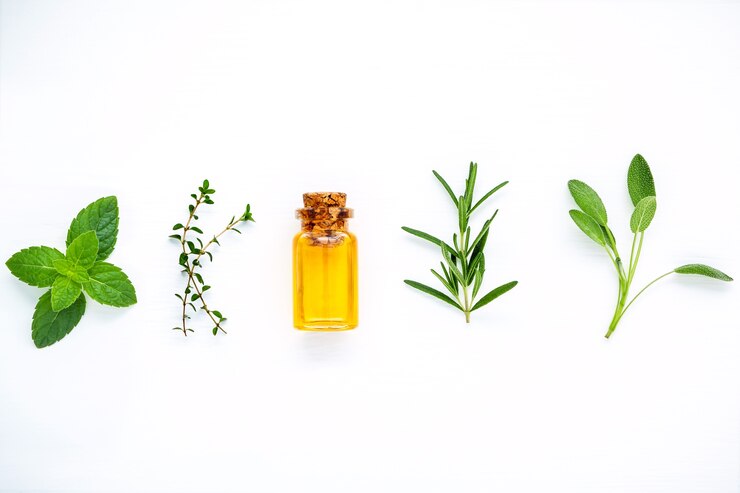 Strategi PT Sahganda Prima Nusantara dalam Mencetak Manajer Muda Berprestasi di Bidang Herbal