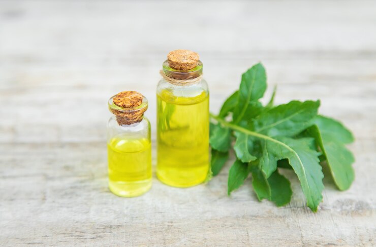Kesehatan Herbal dan Pengembangan SDM: Fokus Utama PT Sahganda Prima Nusantara